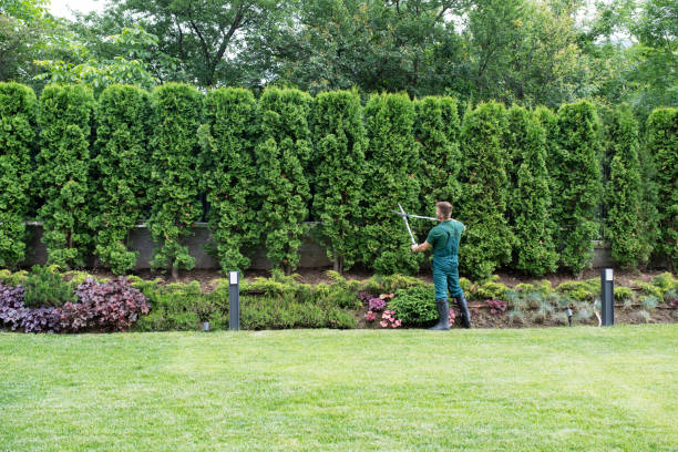 Best Lawn Mowing Services  in Dublin, PA